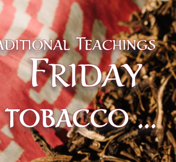 Traditional Teachings Friday – Tobacco